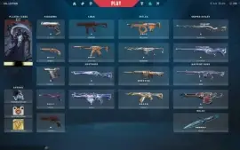 Conta Valorant imortal MMR alto MUITAS skins, faca exclusiva
