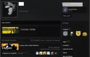 CONTA STEAM OLD - 17 ANOS + CS:GO PRIME E OUTROS