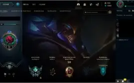 Conta platina 4 mono zed