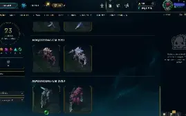 87 skins - platina - quase todos os campeões