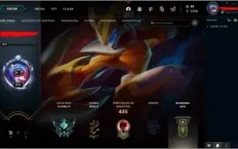 CONTA PLATINA 4