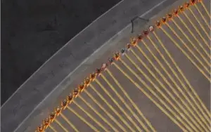 Vendo conta albion online muito boa em coleta e zvz