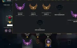 Conta Mestre com 65 Champs e 15 Skins ( 91 PDL )