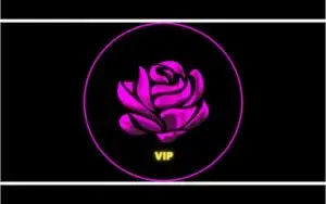 SALA DE SINAIS FLOWERS VIP