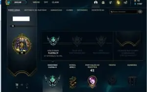 Conta Platina 4