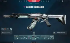 Conta Valorant com 9 Facas / 8 Vandal / 4 Phantoms - R$2300