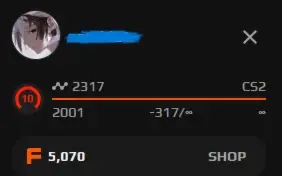 Conta Cs2 4K Horas - Lvl 10 Faceit (Verificada) - Top 900 Sa