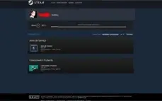 CONTA OLD 8 ANOS DE SERVIÇO (STEAM)