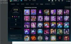 258 SKINS 1566 RP 43408 ESENCIA AZUL ALL CHAMPS
