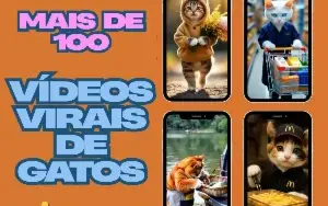 Reel's Gatos Virais