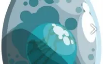 Dofus Turquesa 11 A 20 CC   HELIOBOROS