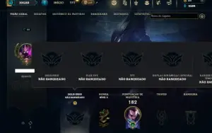Unranked com 80 Champs e 29 Skins