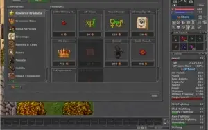 EK Level 53 + Sorcerer  + coins + itens