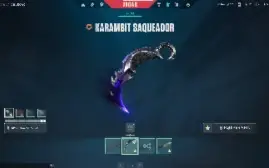 Conta League Of Legends + Valorant (1067 Skins)