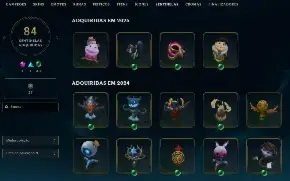 Conta League Of Legends + Valorant (1067 Skins)