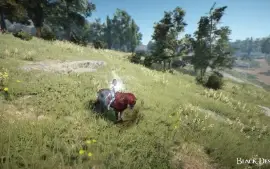 DK 63 726 GS + T10 pegasus + Presets de cristais PVE/PVP