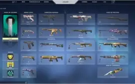 Conta Valorant Com Skins Sublime, Oni, 825 Valorant Points