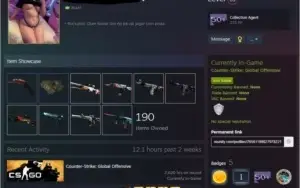 CS:GO PRIME | 2 MEDALHAS |INV. +3k [TRADEBAN INVISIVEL]|AK X