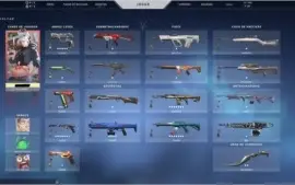 Conta Valorant muitas skins