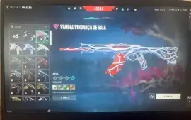 1100 R$ em skins/Pacote Ora/Vandal Gaia-Gatinho/Phantom Game
