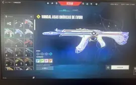 1100 R$ em skins/Pacote Ora/Vandal Gaia-Gatinho/Phantom Game
