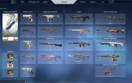 CONTA PLATINA 2 VALORANT TODOS OS AGENTES E VÁRIAS SKINS e +