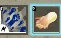 Dough Awk + Godhuman 300+ Maestria