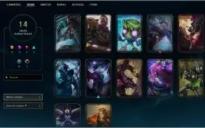 ACC SOLO/DUO DIAMANTE V FLEX PLATINA 2 C/ BORDA D4 14 SKIN