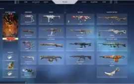 Conta valorant beta imortal 3000 reais gastos em skins