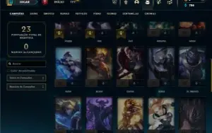 Esmeralda 4 com 40 Champs e 3 Skins + 1 Fragmento
