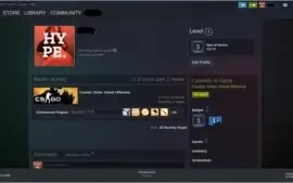 CS:GO PRIME | AK2 | 2 MEDALHAS
