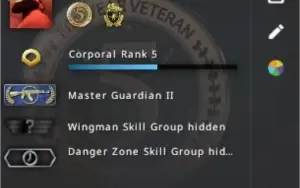 CS:GO PRIME | AK2 | 2 MEDALHAS