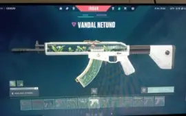 Conta Valorant - Várias Skins