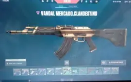 Conta Valorant - Várias Skins