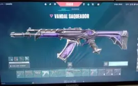 Conta Valorant - Várias Skins