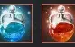 Conta Black Desert 701GS as 2 Pots infinita