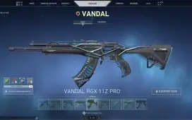 CONTA VALORANT R$ 2.258,50 GASTOS - 8 FACAS - VANDAL RGX