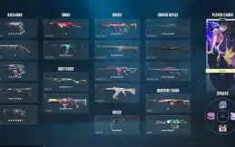 Conta Valorant Várias Skins (Verificada)