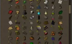 OSRS Account - 176 QP (barrows gloves), pets, full angler
