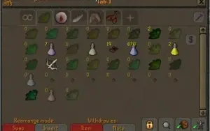 OSRS Account - 176 QP (barrows gloves), pets, full angler