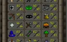 OSRS Account - 176 QP (barrows gloves), pets, full angler