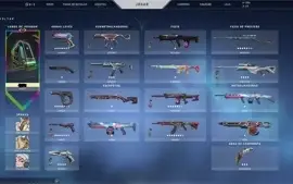 Conta valorant com pacote champions e várias skins