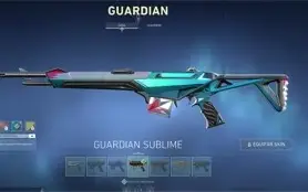 Conta valorant com 30 skins compradas + 5 passes completos
