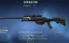 Conta valorant com 30 skins compradas + 5 passes completos