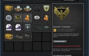 Conta Steam com 1008 mil reais em broches!