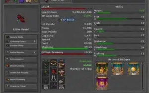 DRUID LV 600 CHARLOVER COM FLYING BOOK (NPVP VERDE)