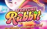 Tenha Sua Própria Api Jogos Pgsoft Originais (Código-Fonte )