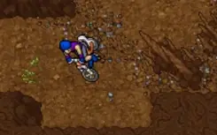 char lv 580+ sv gold chosen shiny machamp gardestrike bike