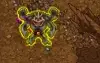 char lv 580+ sv gold chosen shiny machamp gardestrike bike