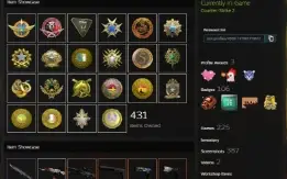 Counter-Strike 25 melhadas +2000 vitórias (Steam MAIN)